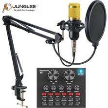Tastech Profesyonel Stüdyo Mikrofonu 3.5mm Jack Girişli Youtuber Kondenser Full Set Studıo Mıcrofon Kit
