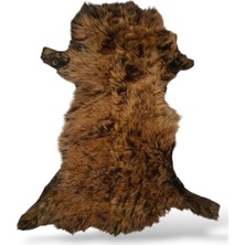 Ottoman Pouffe Hakiki Gerçek Deri Kıvırcık Tüylü Tigrado Koyun Postu 62X76CM, Video No: 31