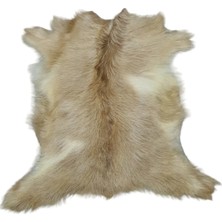 Ottoman Pouffe Hakiki Oğlak Derisi Gerçek Deri Post 64X57CM (011) Posteki Ev Dekorasyon Fikirleri