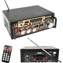 Poke Mini Dev Anfi 400W 12V 220V Bluetooth USB Sd Fm Radio PK-6104