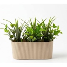 Dekoratif Yapay Sukulent Bitki Saksısı – Modern Masaüstü Yapay Bitki Aranjmanı, Dekoratif Plastik Saksı ile Ev, Ofis ve Raf Dekoru (16 x 7 Cm)