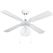 Dlc Poyraz Tavan Vantilatörü Beyaz 107 cm
