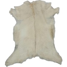 Ottoman Pouffe Hakiki Oğlak Derisi Gerçek Deri Post 57X64 Posteki Ev Dekorasyon Fikirleri (165)