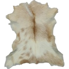 Ottoman Pouffe Hakiki Oğlak Derisi Gerçek Deri Post 52X61CM Posteki Ev Dekorasyon Fikirleri (140)