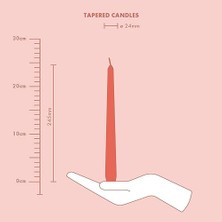 Fantastik Store Bolsius Düz Sivri Mum – Sarı – 4 Adet Kartonda – Dekoratif Ev Mumu – Yanma Süresi 7 Saat – Parfümsüz – Doğal Bitkisel Bal Mumu Içerir – Palmiye Yağı Içermez – 24,5 cm