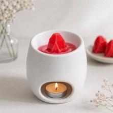 Fantastik Store 9 Adet Sandal Ağacı Kokulu Pembe Renkli Buhurdanlık Mum Eritme Tableti