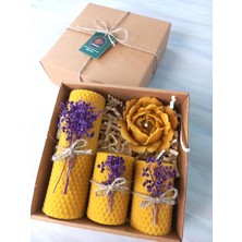 Fantastik Store Balmumu Mum Dekoratif Hediye Kutusu 4 Lü Set Doğal Petek Beeswax Candle Açmış Gül (Mor Süslenmiş Açmış Gül)