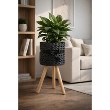 Antrasit Kurdeleli  Bohem Dekoratif Çiçeklik - 20 cm Çap