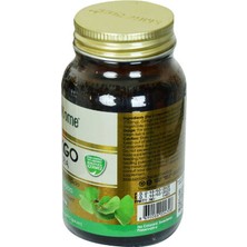 Alvera Collection Shiffa Home Ginkgo Biloba Diyet Takviyesi 620 Mg x 60 Kapsül