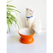 AyrStore Seramik Yavaş Yeme Kedi Mama Kabı (Turuncu)