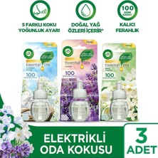 AyrStore Elektrikli Oda Kokusu Yedek Şişe Seti x 3 Adet