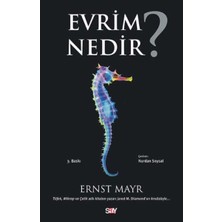 Fantastik Store Evrim Nedir?