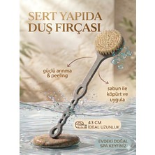 Efsoon Organics Sert Kıllı Vücut Fırçası 43 cm Doğal Kaktüs Oval Duş Fırçası Arındırıcı Etki Kadın ve Erkek
