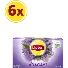 Lipton Adaçayı Bitki Süzen Bardak Poşet Çayı 20LI x 6 Adet
