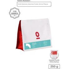 Espressolab Costa Rica Volcancito Natural Anaerobik Arabica Kahve - 250 g | Sütlü Çikolata & Toffee Aromalı