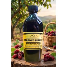 Nurbal Karadut Şurubu 220 gr