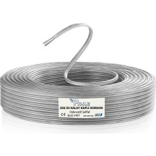 Poke Dekoratif Neon LED Tabelalar Için Şeffaf Ikili Kalay Kordon Kablo 2x0.50 - 100 Metre