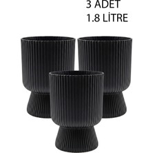 Temmuz Home 3 Adet Lotus Saksı Seti 1.8 Litre Ayaklı Saksı - 19.5 cm x 14 cm Çiçek ve Bitki Saksısı