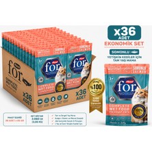 Flexi For Somonlu Yetişkin Kedi Yaş Maması 85 gr X36 Adet Ekonomik Set - Jöle Içinde Parça Et - Tam ve Dengeli Yaş Mama