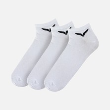 Barçın Basics Sportswear Wrist (3 Pairs) Unisex Çorap
