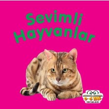 Aycer Sevimli Hayvanlar - Mini Karton Kitaplar