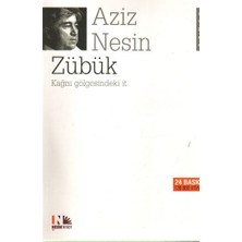 Aycer Zübük