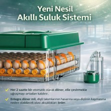 EP100 Kuluçka Makinesi Yeni Nesil Suluk Üstten Havalandırma Sistemli Tavuk Kaz Hindi ve Kuş Türleri Için ( Lisinya )