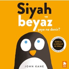 Aycer Siyah ve Beyaz Şeye Ne Denir?