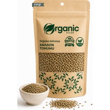 Organic Kiler Doğal Anason Tohumu 250 gr - Taze Kurutulmuş Anason Çayı