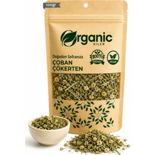 Çoban Çökerten Otu 100GR (Tribulus Terrestris) | Doğal Bitkisel Destek | Taze Mahsül