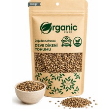 Organic Kiler Devedikeni Tohumu 100GR Elenmiş Yeni Mahsül Organik