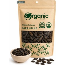 Organic Kiler Doğal Kara Halile 100 gr (Terminalia Chebula) – Kurutulmuş Bitki – Katkısız ve Elenmiş