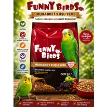Funny Birds 500GRAM Muhabbet Kuşu Yemi