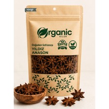 Yıldız Anason 100 gr | Elenmiş ve Doğal | Aromatik Baharat & Çay | %100 Organik Yıldız Anason