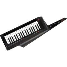 Korg RK-100S 2-Bk