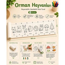 Kanvassepetinet Boyanabilir Kesilebilir Rulo Tuval Orman Hayvanları 8 Model Çocuk Boyama Seti 160X30 cm
