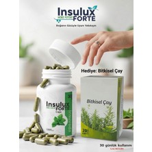 İnsulux Forte 30 Bitkisel Kapsül - Metabolik Denge Destek Seti (1 Paket Bitki Çayı Hediyeli)