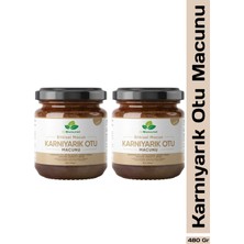 Dr. Natural 2 Adet Karnıyarık Otu Macunu Bitki Karışımlı Macun (Psyllium Husk Powder) 240 gr