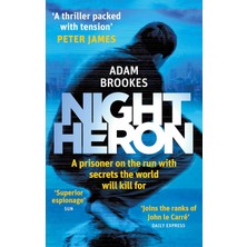 Night Heron