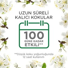 Shoplet Elektrikli Oda Kokusu Yedek Şişe Bahar Çiçekleri