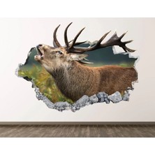 Kanvassepetinet Full Hd Baskı 3D Modern Duvar Sticker
