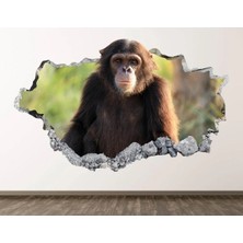 Kanvassepetinet Full Hd Baskı 3D Modern Duvar Sticker