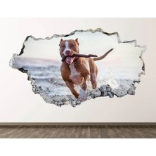 Kanvassepetinet Full Hd Baskı 3D Modern Duvar Sticker