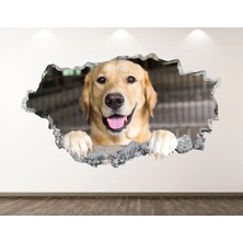 Kanvassepetinet Full Hd Baskı 3D Modern Duvar Sticker