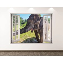 Kanvassepetinet Vahşi Yaşam Muhteşem Hayvanlar Full Hd Baskı 3D Pencere Modern Duvar Sticker