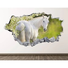 Kanvassepetinet Full Hd Baskı 3D Modern Duvar Sticker