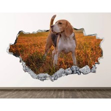 Kanvassepetinet Full Hd Baskı 3D Modern Duvar Sticker