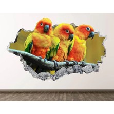 Kanvassepetinet Full Hd Baskı 3D Modern Duvar Sticker