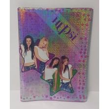 Düzey Hepsi Hazır Defter Kabı A4 Simli