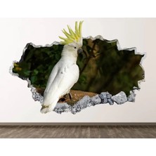 Kanvassepetinet Full Hd Baskı 3D Modern Duvar Sticker